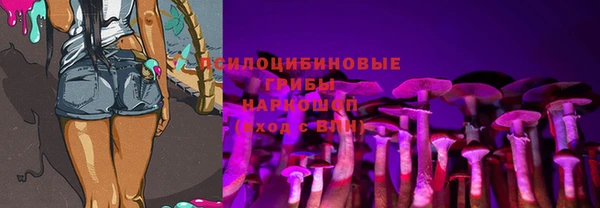 ПСИЛОЦИБИНОВЫЕ ГРИБЫ Богородицк