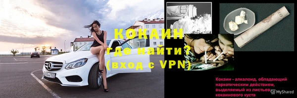 mdpv Богданович