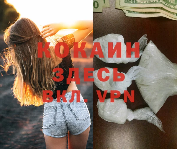 mdpv Богданович