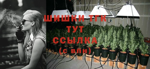 ПСИЛОЦИБИНОВЫЕ ГРИБЫ Богородицк