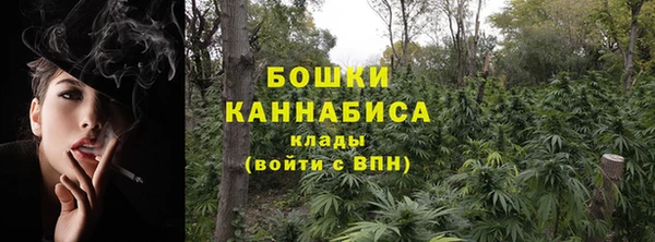 mdpv Богданович